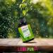 Lebpur Organic Barley Grass Capsules - 60 High-Dose Vegan Capsules (1000mg Daily) - 100% Organic Lab Tested Made in Germany - No Additives - Buy Online on GoSupps.com