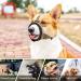 Heele Dog Muzzle with Head Belt - Comfortable Mucky Basket for Safe International Shipping - Buy Online on GoSupps.com