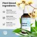 Retinol Cream for Face + Retinol Serum 2.5% - Buy Online on GoSupps.com