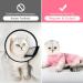Heywean Long-Sleeved Cat Bodysuit for Post-Operation Care - Pink Striped Cat Clothing for Castrated Cats - Buy Online on GoSupps.com