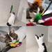 10-Piece Natural Bird Feathers Cat Toy Wand Refills - Replacement Feathers for Interactive Play - Buy Online on GoSupps.com