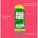 Lecka Energy Gel - Mixed Flavours (12 Pack) | Natural Energy & Electrolytes for Endurance Made with Real Fruits & Basil Seeds - Buy Online on GoSupps.com