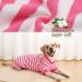 Uadonile 95% Cotton Dog Pajamas, Thermal Jumpsuit for Small and Large Breeds - Pink Striped PJS | XS-XXXL Sizes Available - Buy Online on GoSupps.com