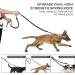Pecute Dog Leash with Belly Belt - Jogging Leash for Large & Medium Dogs Elastic Running Leash with Belt Bag Supports Up to 110kg - Buy Online on GoSupps.com