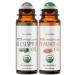 BodyJ4You Eucalyptus + Frankincense Essential Oil Roll On Duo - 100% USDA Organic MCT Coconut Oil - Fluorite and Green Aventurine Stone Rollers - Breathwork Cooling Temples Chest Wrist - Grounding Pul