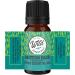 Motion Ease Essential Oil Synergy Blend 2 Pack - 10ml for Motion Sickness & Nausea - Made in USA - Buy Online on GoSupps.com