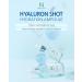 AMPLE:N Hyaluron Shot Hydration Serum - Plump & Hydrate with Hyaluronic Acid - Anti-Aging Moisturizer for Glowing Skin 3.38 fl. oz - Buy Online on GoSupps.com