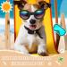 Dog Goggles Dog Sunglasses Adjustable Strap for Waterproof Windproof UV Protection Sunglasses for Dog for Go out Travel Skiing Swim (Black) - Buy Online on GoSupps.com