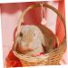 Mipcase 5pcs Hanging Salt Pet Salt Cattle Salt Lick Salt Lick for Rope - Buy Online on GoSupps.com