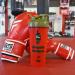 Blender Bottle x Forza Sports Classic 28 oz. Shaker - Dino Sore Green | Shop Now - Buy Online on GoSupps.com