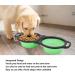 Collapsible Dog Bowls Portable Travel Pet Feeder Bowl 2 in 1 Expandable Silicone Pet Food & Water Double Bowl Cat Feeder Dish with Carabiner for Walking Travel and Outdoor Activities Green - Buy Online on GoSupps.com