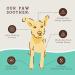 Natural Dog Company Paw Soother Stick - Organic Healing Balm for Pets | Moisturizing Stick for Dry, Cracked Paws | Vet-Approved 0.15oz Trial Stick - Buy Online on GoSupps.com