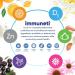 Immuneti - Advanced Immune Defense 6-in-1 Powerful Blend of Vitamin C Vitamin D3 Zinc Elderberries Garlic Bulb Echinacea - 2 Pack - Supports Overall Health - Buy Online on GoSupps.com