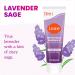 Lume Whole Body Deodorant - Invisible Cream Tube - 72 Hour Odor Control - Aluminum Free Baking Soda Free Skin Safe - 3.0 ounce (Pack of 2) (Lavender Sage) Lavender Sage 3 Ounce (Pack of 2) - Buy Online on GoSupps.com