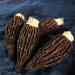 Dried Morchella Morels Mushroom Yangdujun (100g(3.53oz))