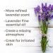 Organic Lavender Essential Oil 10 mL - 100% Pure USDA Certified Therapeutic Grade - Plant Therapy - Buy Online on GoSupps.com