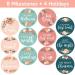 Floral Baby Monthly Milestone Stickers for Newborn Girl | Set of 24 Baby Girl Month Stickers - Buy Online on GoSupps.com