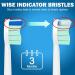 10 Pack Sonicare Compatible Replacement Toothbrush Heads for Optimal Oral Care - White - Buy Online on GoSupps.com