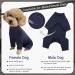 Kuoser XL Blue Dog Medical Body Post-Op Recovery Pajamas Anti-Licking Wound Protection & Cone Alternative - Buy Online on GoSupps.com