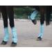 Horse Fly Boots - Premium Leg Bandages for Maximum Protection | Set of 4 Blue Pony Fly Boots - Buy Online on GoSupps.com