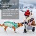 Kuoser Warm Reflective Dog Jacket - Windproof Winter Coat for Small & Large Dogs in Dark Green - Buy Online on GoSupps.com