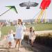 Qtioucp 3 Set Kite for Kids & Adults - Easy-to-Fly Outdoor Game with 100M Line - Perfect for Beach Trips and Outdoor Activities - 3 Pack Kites Included - Buy Online on GoSupps.com