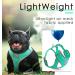 Thinkpet No-Pull Dog Harness & Leash Set - Breathable Adjustable Safe Control for Small Medium & Large Dogs - Reflective Padded Green L - Buy Online on GoSupps.com