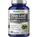 NusaPure Olive Leaf 50:1 Extract 500 mg Equivalent to 25 000mg - 50% Oleuropein Vegan/Vegetarian - Super Strength No Oil 60 Capsules 60 Count (Pack of 1)
