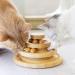 Shop Tarnel Interactive Cat Toys - 3-Level Bamboo Smart Track Ball with Bells | International Shipping Available - Buy Online on GoSupps.com