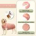 Buy Hipet Recovery Suit for Dogs & Cats - Post-Op Wear Prevents Licking Abdominal Wounds E-Collar Alternative (XXXL Pink Striped) - Buy Online on GoSupps.com