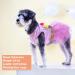 KYEESE Dog Dress Unicorn Tiered Layer Tutu Tulle Birthday Party Dress for Small Dogs - Medium Size | Sequin Embellishments | Pack of 1 - Buy Online on GoSupps.com