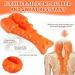 Smtelgance Trigger Point Massager: Ultimate Trapezius Massage Device for Neck & Shoulder Relief - Relax & Relieve Fatigue (Orange) | International Shipping Available - Buy Online on GoSupps.com