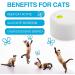 All For Paws Interactive Motion-Activated Cat Butterfly Toy - Flutter Bug Teaser Toy with Rotating & Flashing Butterflies - Buy Online on GoSupps.com