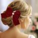 ALLY-MAGIC Bow Hair Clips Large Red Bowknot Hairpin Christmas Velvet Hair Bow Clips French Hair Barrettes Accessories for Women Girls Birthday Party Christmas Gifts Y4SRHDJ - Buy Online on GoSupps.com