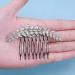 Aneneiceera Bride Wedding Crystal Hair Comb Clip Silver Hair Side Combs Leaf Hair Comb Rhinestone Headpieces Bride Hair Piece bridesmaid Hair Accessories for Women and Lady Girls(Silver) - Buy Online on GoSupps.com
