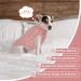 Cozy Pink Dog Sweater - Winter Turtleneck Knit for Small & Medium Pets | Warm Cat & Dog Pullovers - Shop Internationally! - Buy Online on GoSupps.com