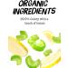 Rebel Kitchen Juices (Celery Juice 8 x 250ml) - Organic - Cold Pressed - Made in the UK - Soil Association Certified - 1% for the Planet - B-Corp Certified Celery Juice 250 ml (Pack of 1) - Buy Online on GoSupps.com