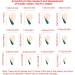 24 Pcs Nails-St. Patrick's-Day Fake-Nails with Designs Acrylic Nails On Nails False Nails for Women False Nails Medium Length with - Buy Online on GoSupps.com