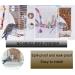 Automatic No Mess Bird Feeder for Parakeet Canary Cockatiel Finch - Bird Cage Accessories - Buy Online on GoSupps.com