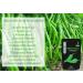 JOKE Green Chilli Powder | Hari Mirchi | Ready to Use - 1 KG - Buy Online on GoSupps.com