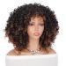 Afro Curly Wig with Bangs - Dark Brown Shoulder Length Synthetic Kinky Curly Wig for Black Women - Buy Online on GoSupps.com