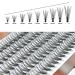 Buy Pfroxgel 20D/30D/40D Nerz Single Eyelash Kit - Mixed Tray 8-16mm Natural Look Long Thick Silk Extensions (1 Pack) - Buy Online on GoSupps.com