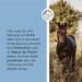 Annimally Zinc for Horses - High-Dose Zinc Pellets (700g) with Black Cumin Zeolite & Brewer's Yeast for Skin Hair & Hoof Health - Buy Online on GoSupps.com