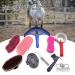 Professional 10-Pc Vier Horse Brush Set - Equestrian Grooming Kit for Horse Cleaning & Care - Buy Online on GoSupps.com