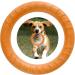Qeeroyo Dog Fitness Ring | Frisbee Toy for Small Medium & Large Dogs | Durable Bite Ring & Flying Disc (18cm Orange) - Buy Online on GoSupps.com