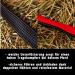 Buy Durable Red Pony Horse Delinis Halter - Adjustable Tear-Resistant & Safe for Warmbloods Thoroughbreds & Ponies | International Shipping - Buy Online on GoSupps.com