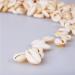 400PCS White Cowrie Shell Beads - DIY Craft Jewelry Making Supplies - Buy Online on GoSupps.com