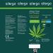 Allergo Nature Allergy Nasal Spray - 100mg Bio Hemp | Hay Fever & Pollen Allergy Relief | Non-Cortisone No Dependency | Perfect for Allergy Sufferers - Buy Online on GoSupps.com