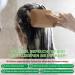  p-beauty Rosemary Hair Growth Oil Shampoo 2 x 300 ml Anti-hair loss and scalp care Moisturizing and regenerating For all hair types in case of - Buy Online on GoSupps.com