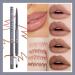 Nude Lip Liner Creamy Set - 4PC Vegan Cruelty-Free Matte Pencils with Brush - Precise & Define, Easy to Use - A01 - Buy Online on GoSupps.com
